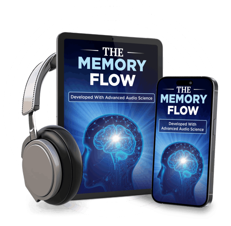 MemoryFlow Official Website